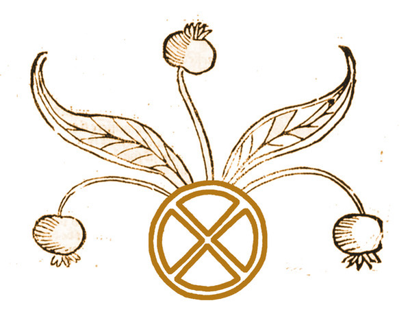 Mandragora and sun wheel