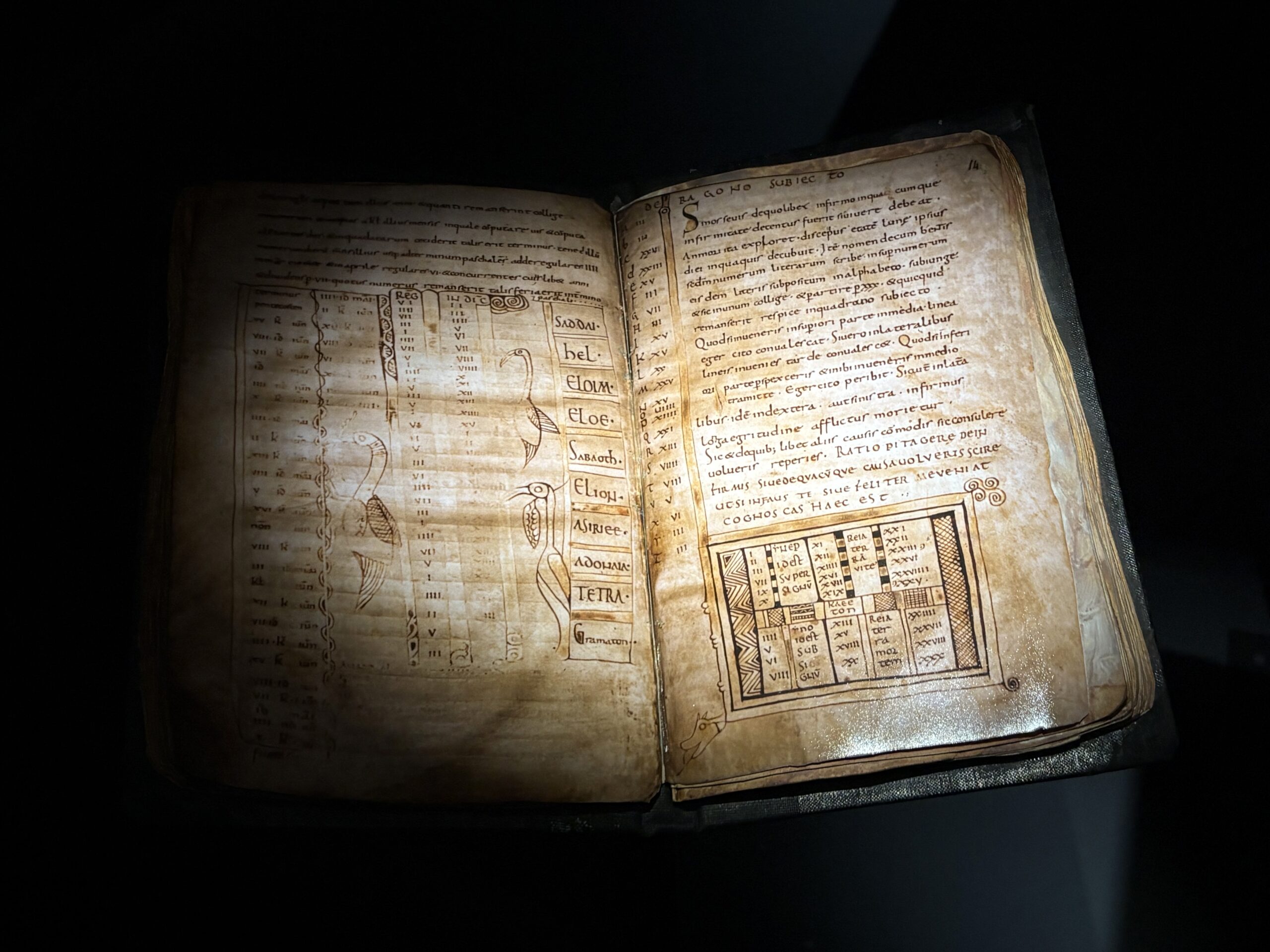 Medieval medicine text copied by monks